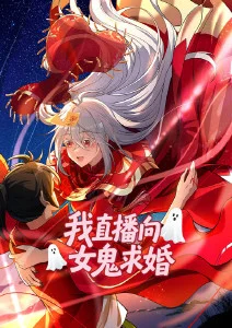 风云决 动画海报